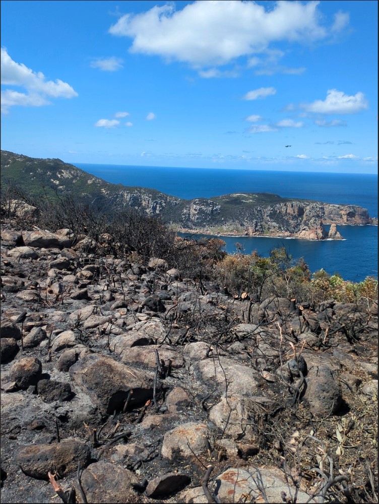 One of several heli pads being created by the WINCH crews to assist in safely relocating fire fighters across the challenging and steep terrain of Deal Island